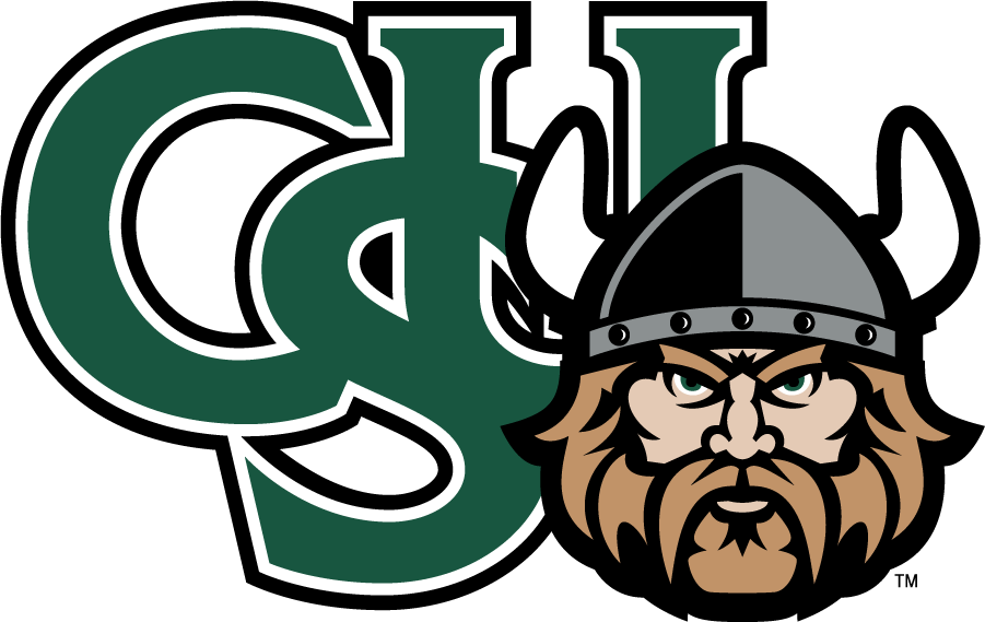 Cleveland State Vikings 2007-Pres Secondary Logo v3 diy DTF decal sticker